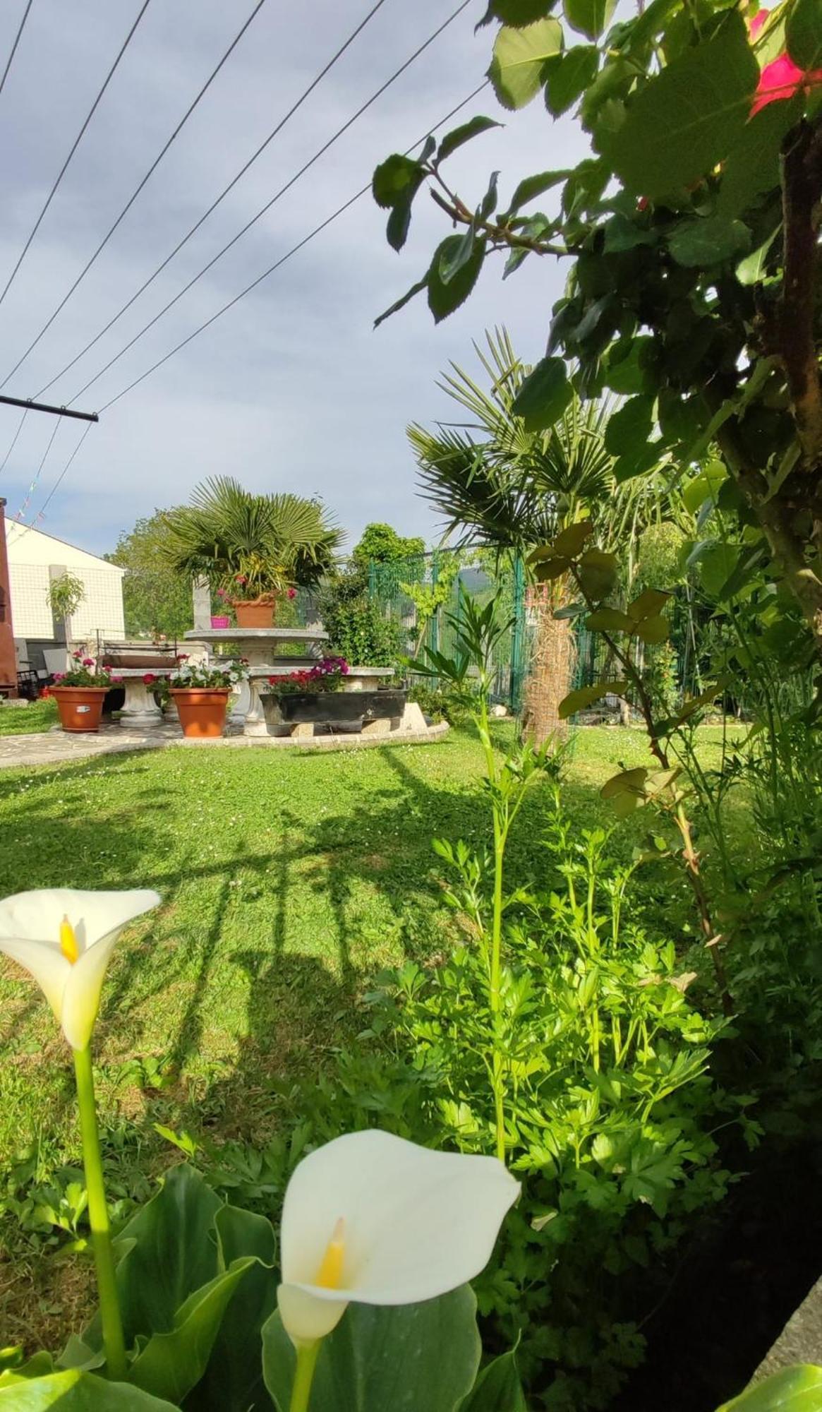 Casa David Hotel ตริอากาสเตลา ภายนอก รูปภาพ